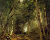 In the Woods - 艾斯·布朗·杜兰德